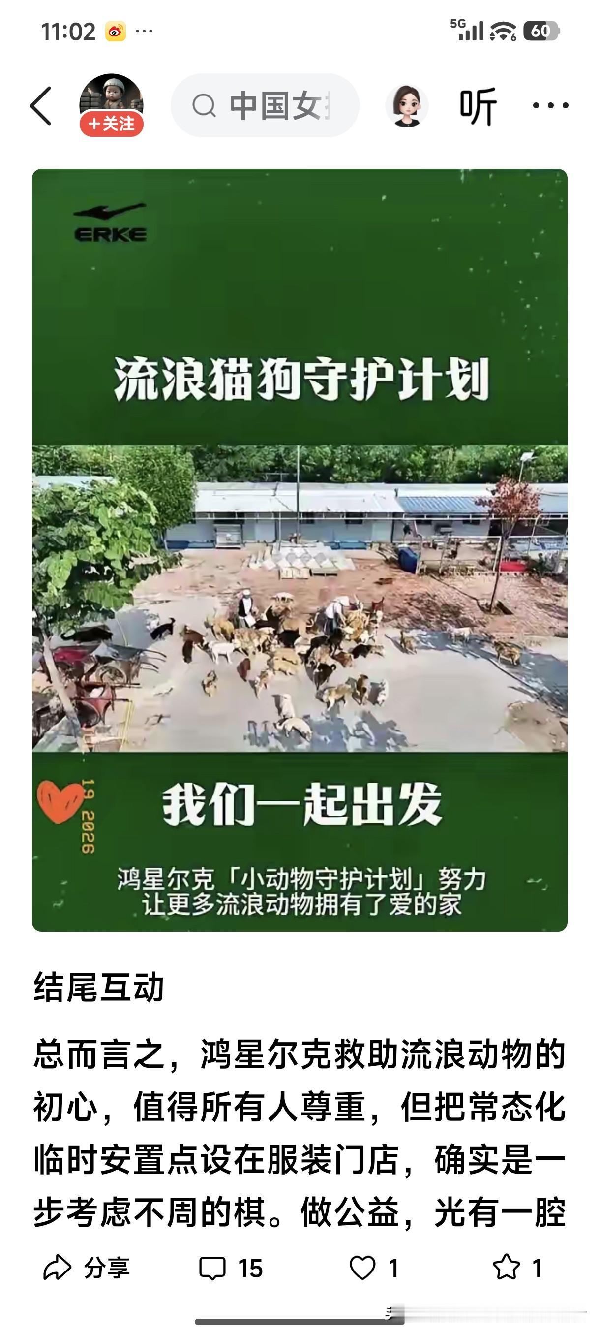 现如今，流浪猫、狗已泛滥成灾。人们只知道喊立法“动物保护法”，却从来没有人想过这
