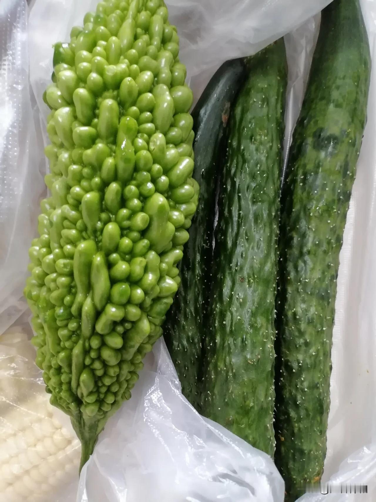 上午，我去了弥勒市的佛城商都，在那里看到许多的东北人。

       我刚走进