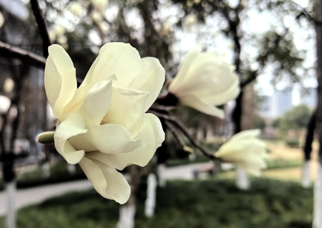 【热评】一份承诺一生担当
丈夫41年花百万照顾患病妻子

结婚证不仅是一纸文书，