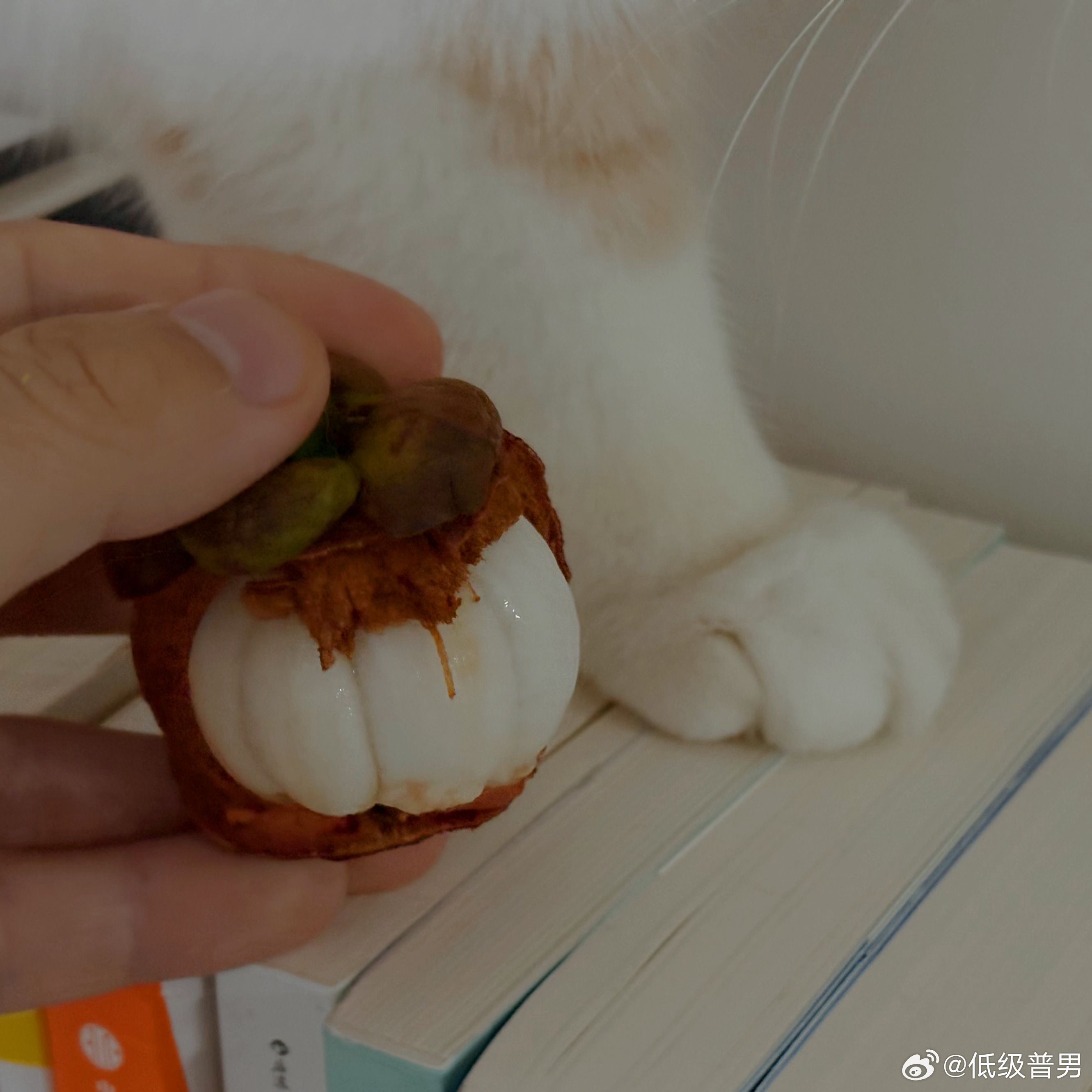 生足诱惑 