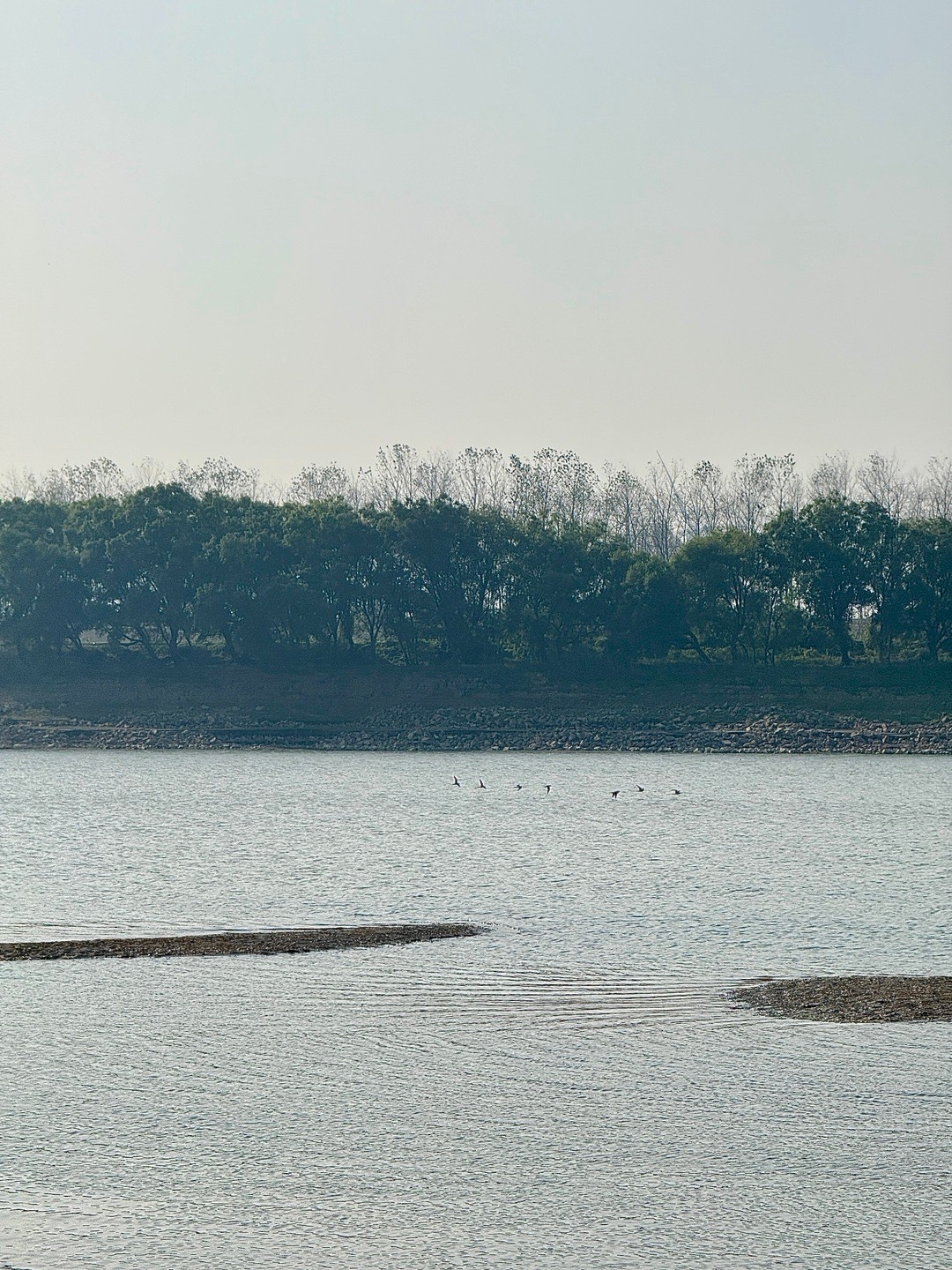 多观察少发言，人性不爱听实话，顺人性做事，逆人性做人 