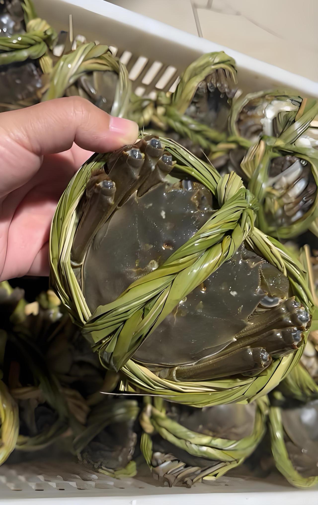 绑过大闸蟹的绳子，会不自觉认为自己和大闸蟹一样贵重……