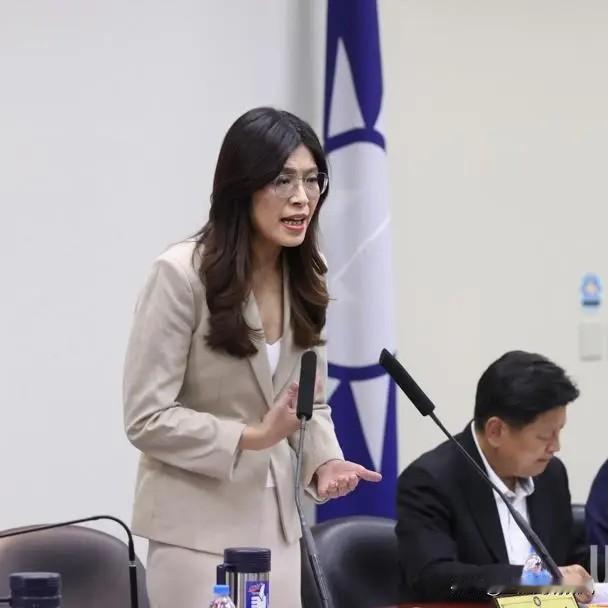 国民党主席郑丽文下午主持国民党中常会，高分贝批赖清德执政无方、毁宪乱政，只会牵拖