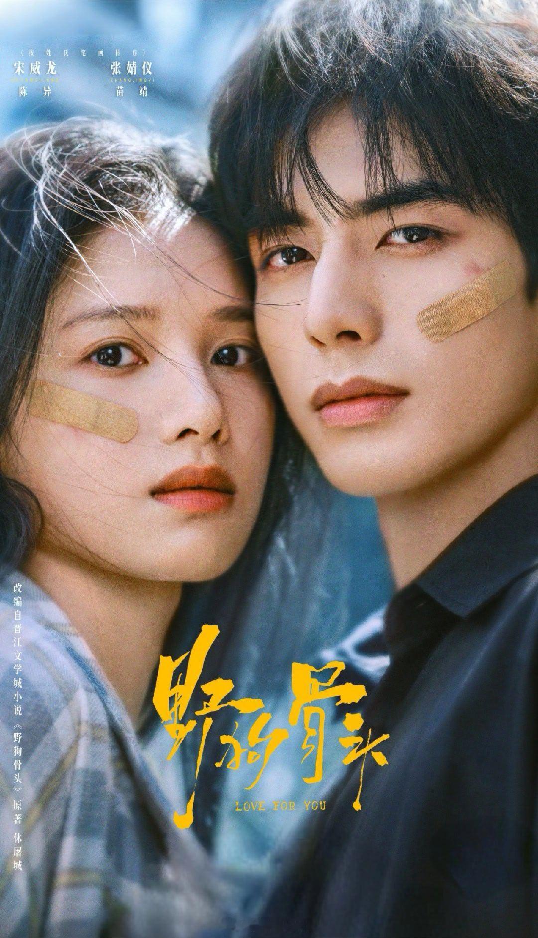 张婧仪 宋威龙挺好的男帅女美看着都很养眼 ​​​