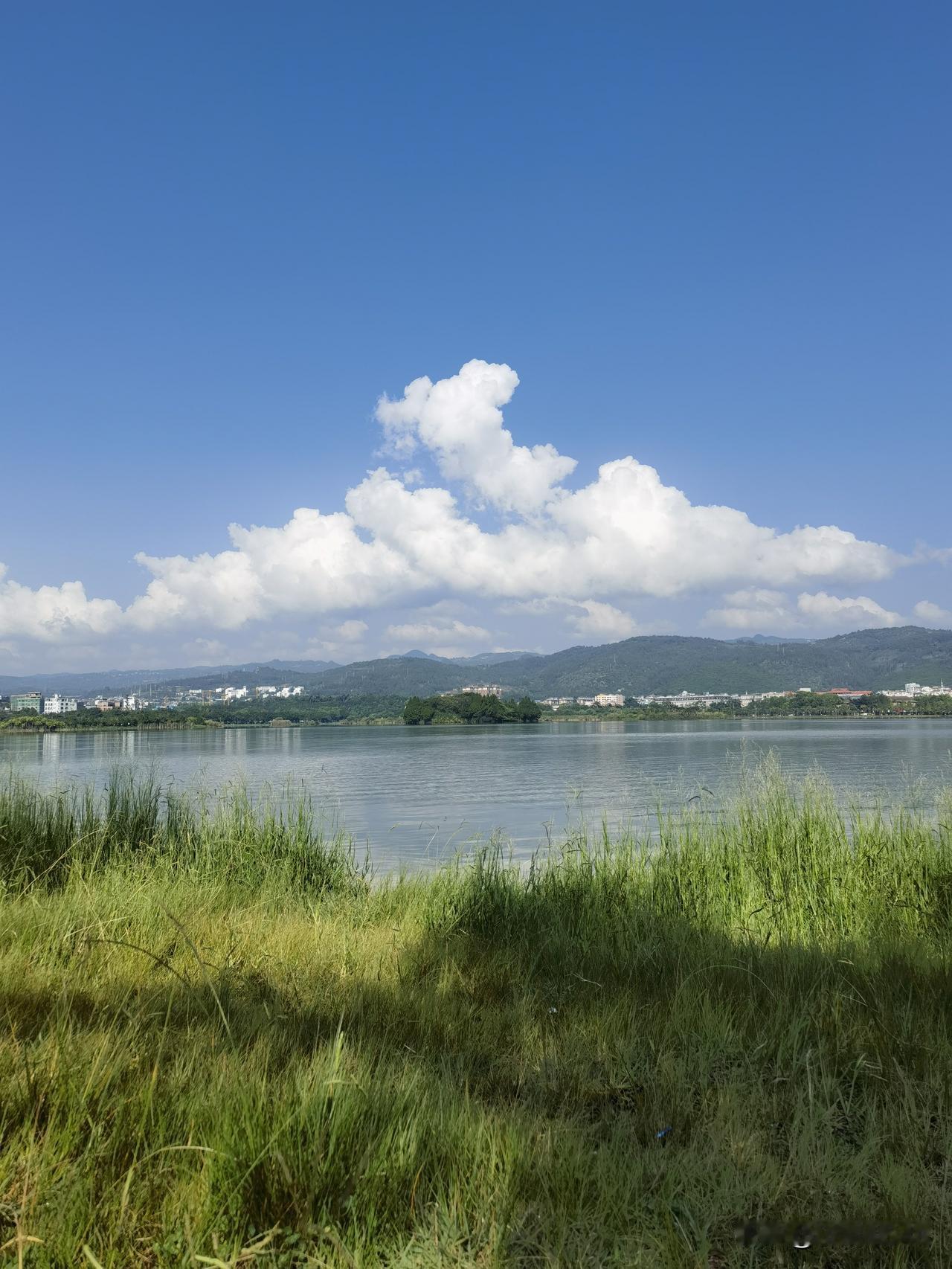 历史上最美诗句：古诗十九首·行行重行行 赏析

​ ​   东汉《行行重行行》是