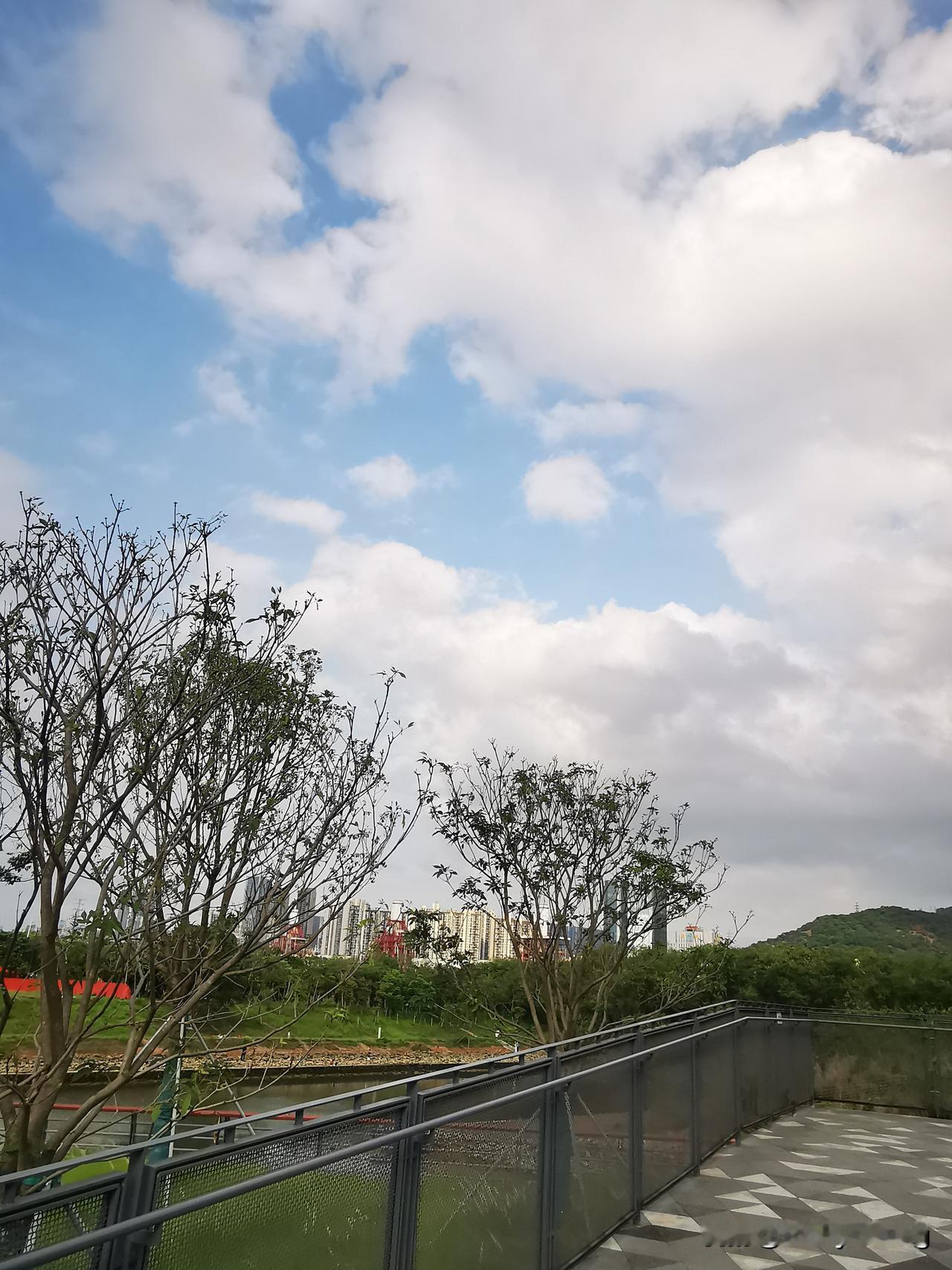 人需互相包容
才能成就婚姻
而非让另一半
活成自己想要的模样
谁都喜爱好脸色
尤