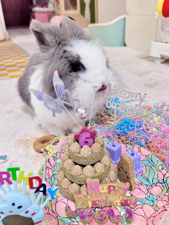 嘿，我今天6岁啦！🎂