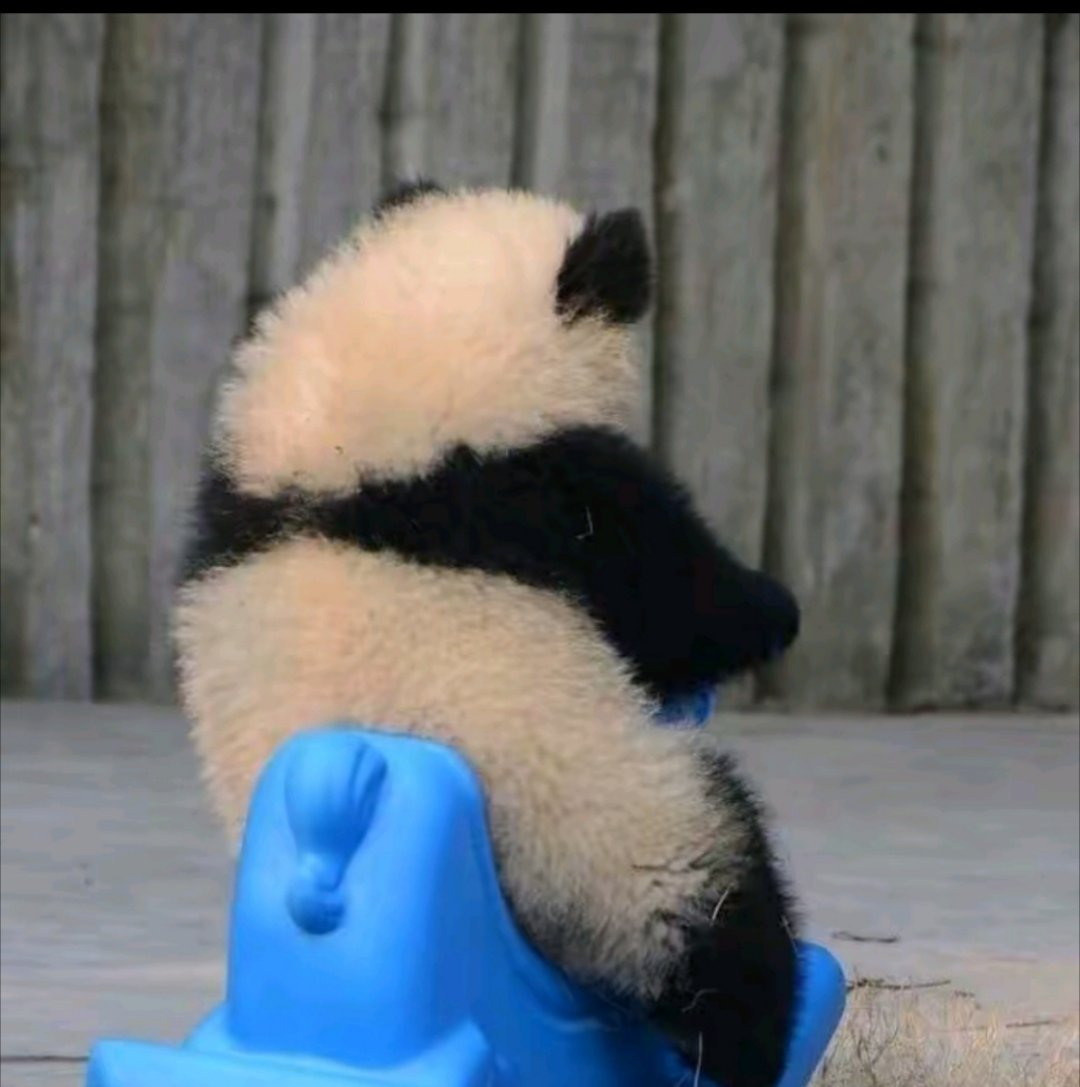 周一不好，好多事要忙起来了 ​​​