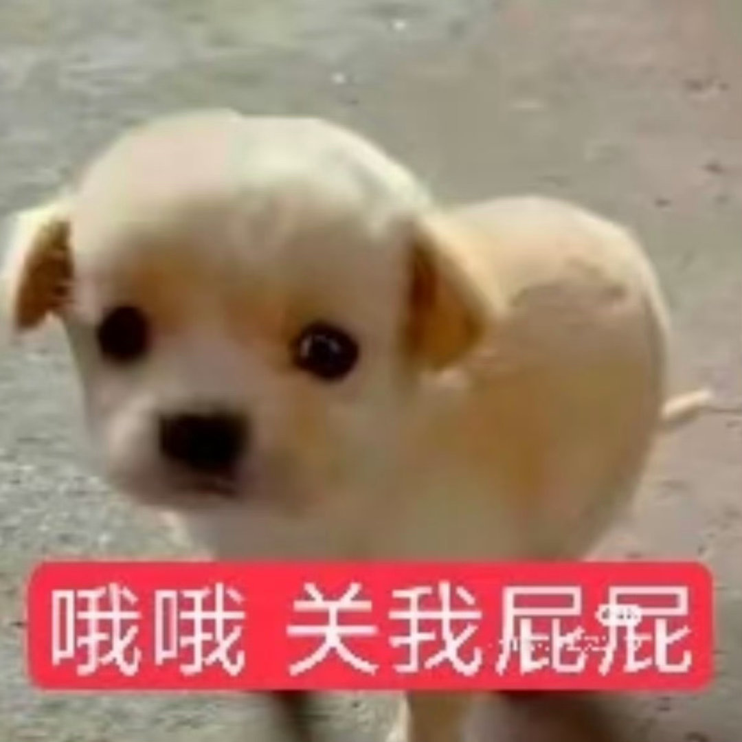 分享图片 