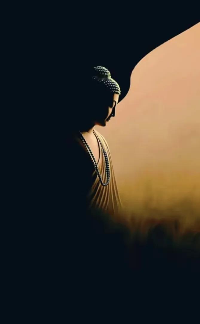 德配位 ，善当道，
 
因果真实不虚。

有德之人，

无心插柳柳成荫。

无德