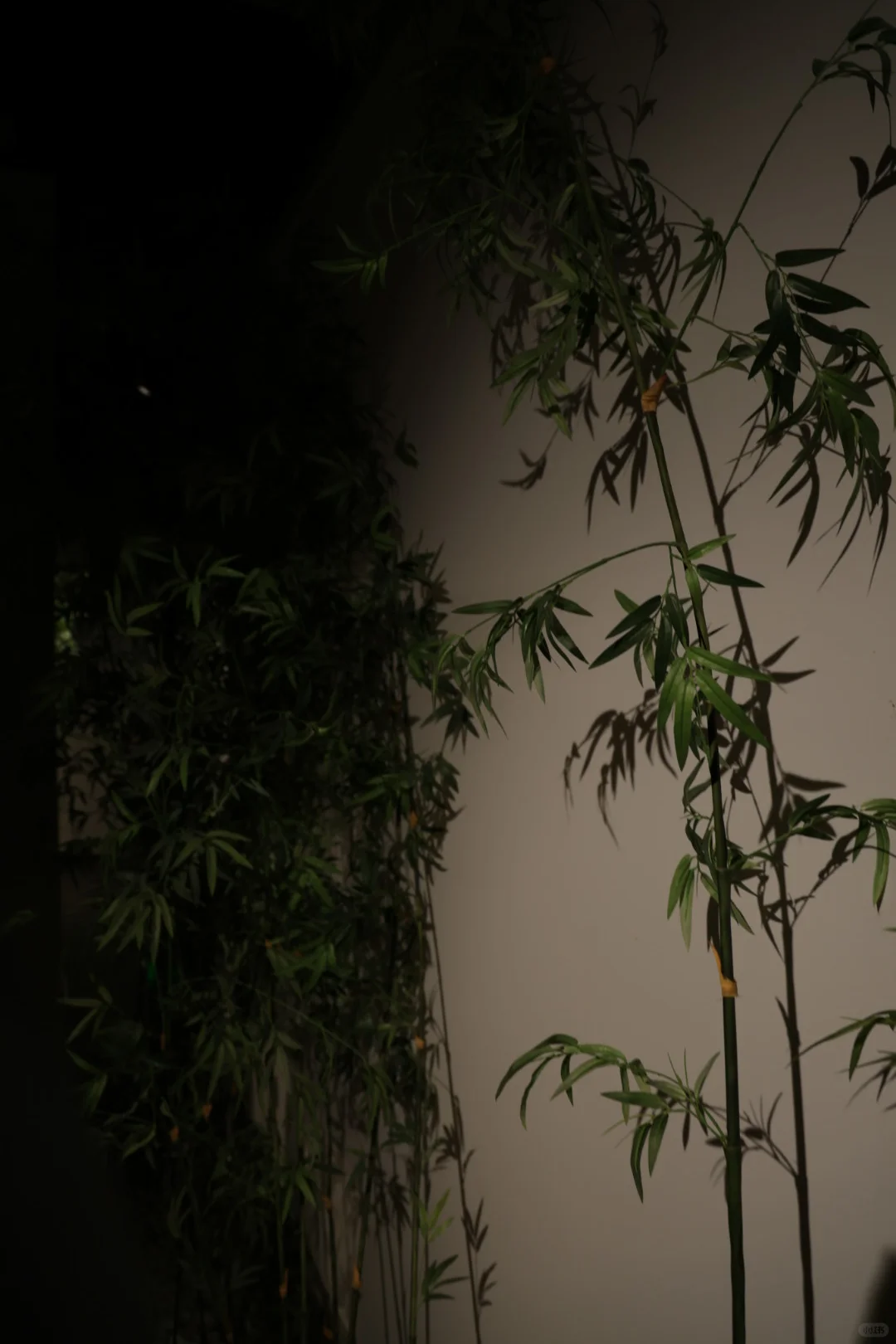 📣报：擦干净的【金陵之窗】绝绝子❗️（附定位）