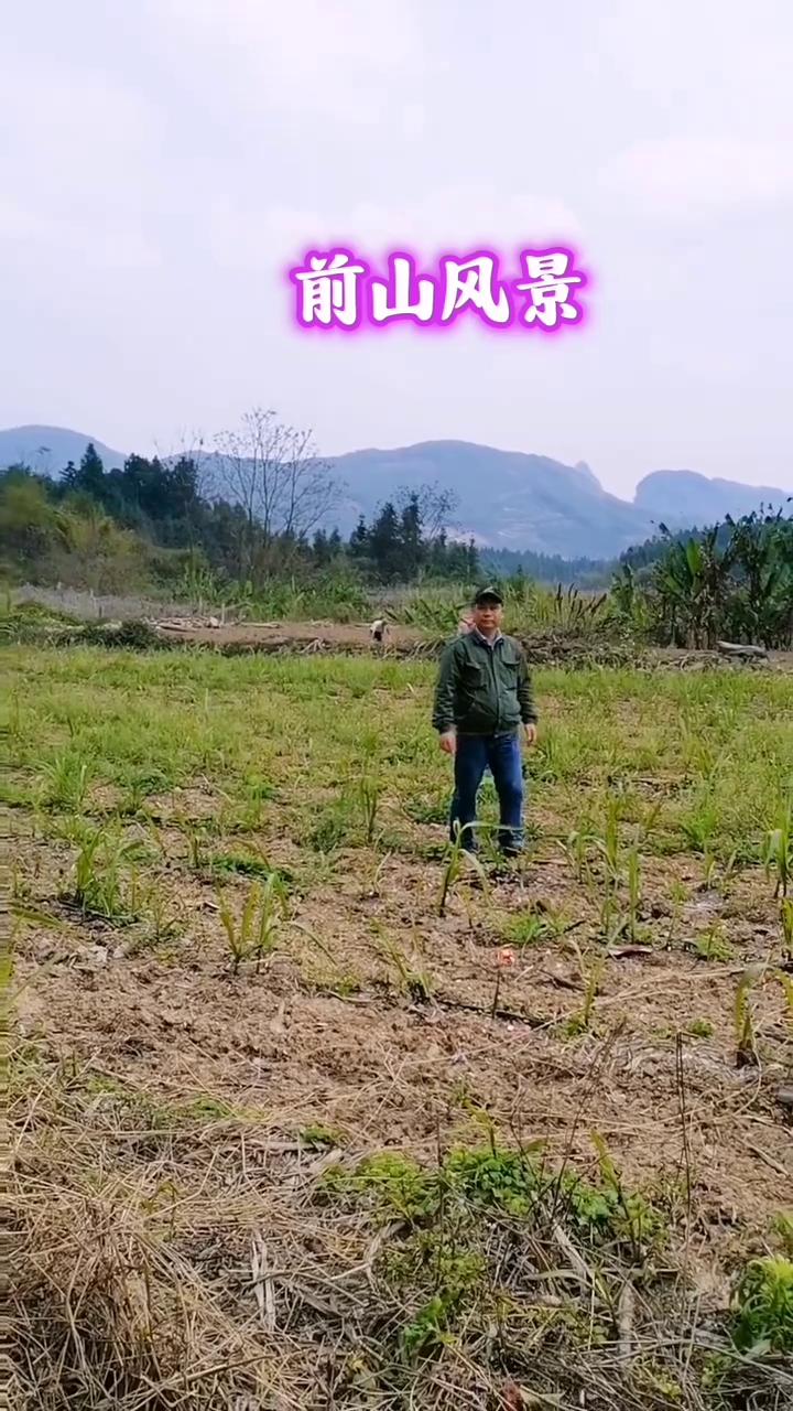 前山风景，后山风景，左边山风景，右山风景。