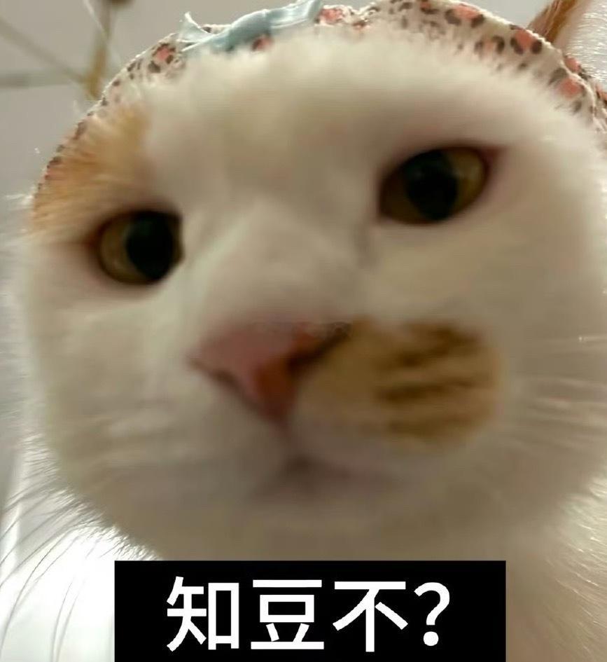 我要打开决赛了 