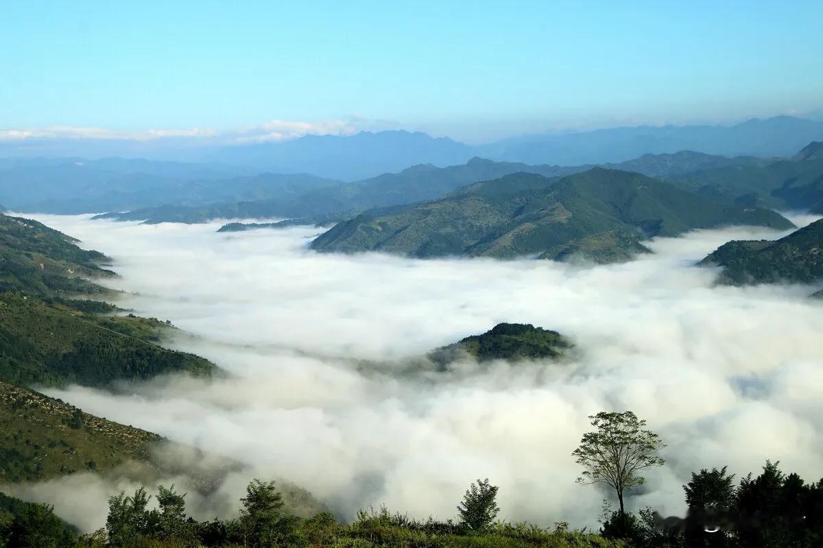 #记录我的2024# 

《终南别业》
唐·王维

中岁颇好道，晚家南山陲。


