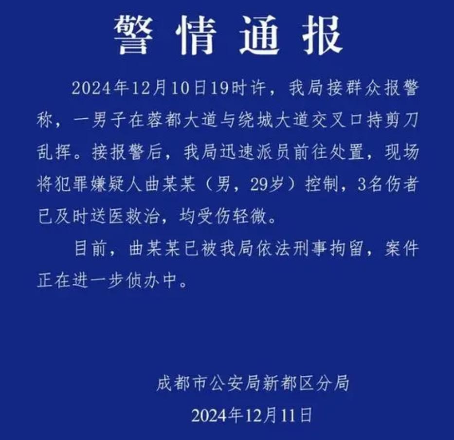 成都街头剪刀男事件深度解析，背后真相令人深思！

2024年12月10日19时许