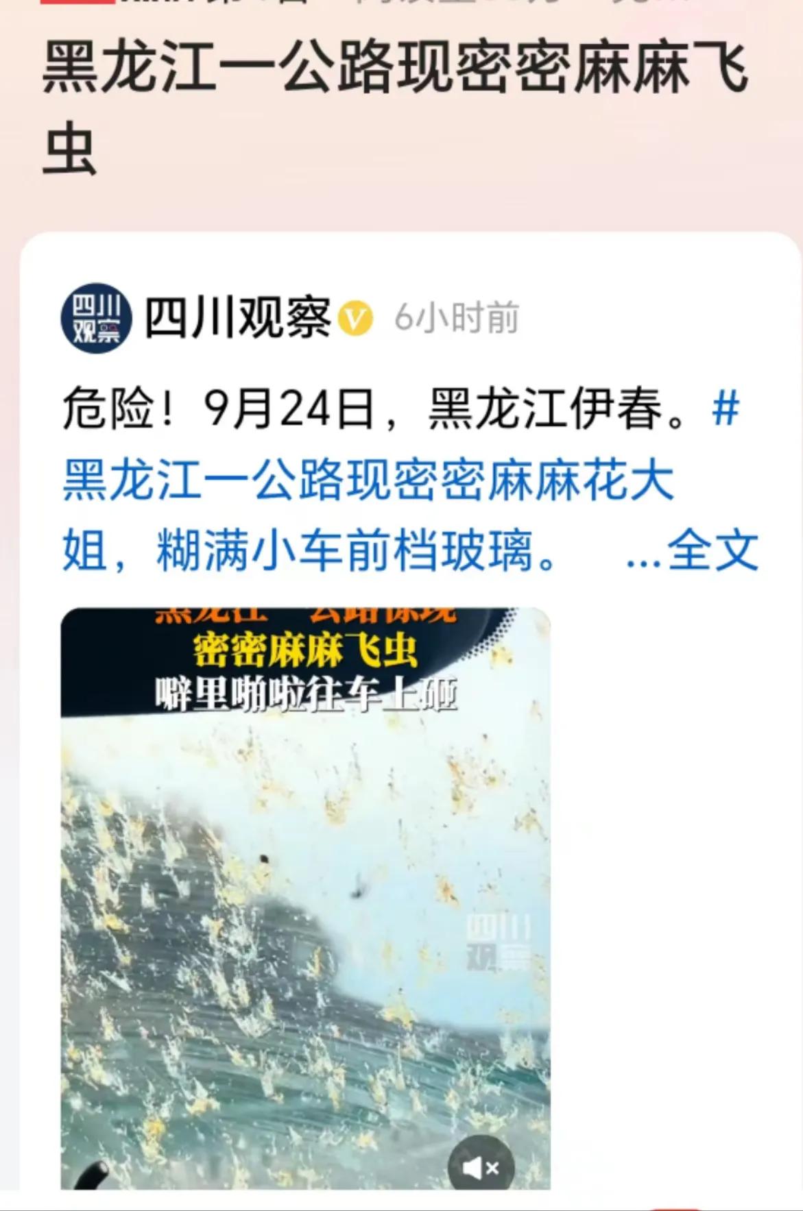 花大姐是黑龙江的别称，官名叫七星瓢虫。

近日，黑龙江伊春一女士开车在高速公路上