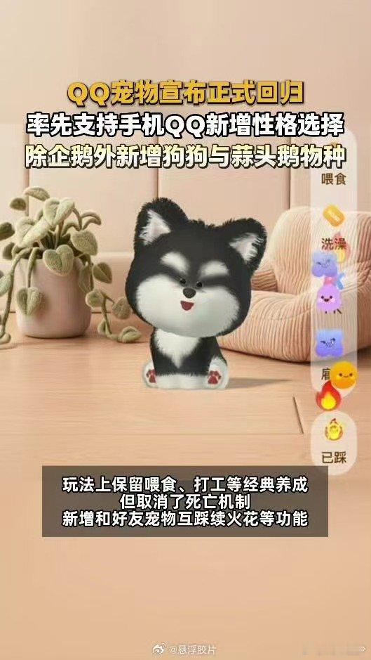腾讯全新QQ宠物上线腾讯全新QQ宠物QQ企鹅回归勾起回忆，想起当年结伴养宠串门的