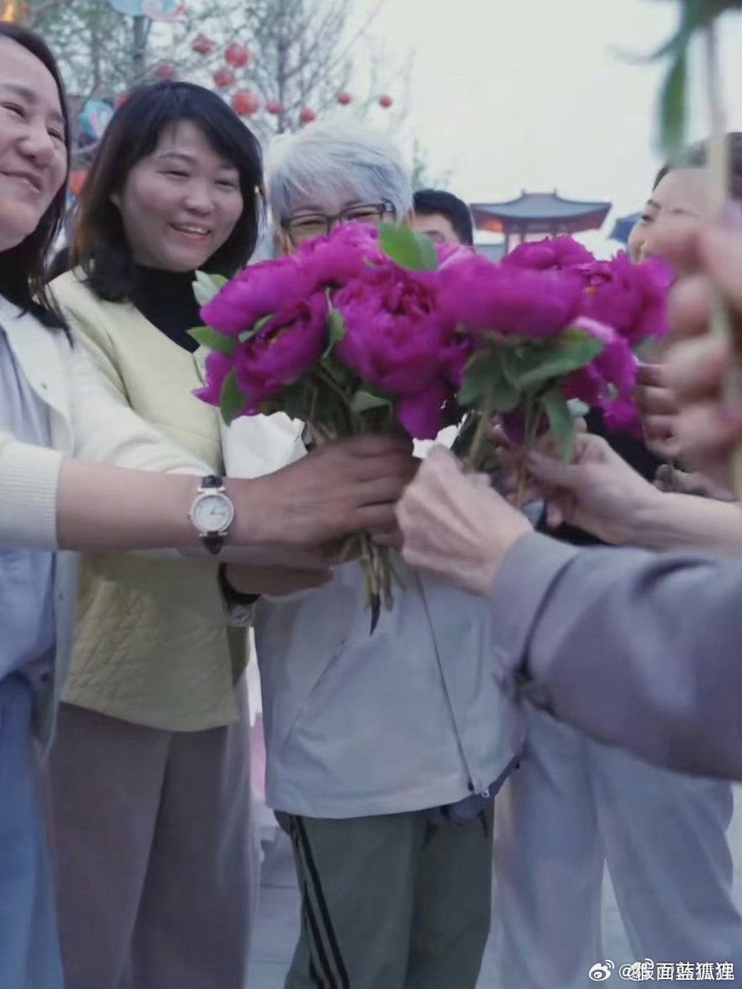 外籍友人组团来洛阳赏花三人才能抱起99朵牡丹花 外籍友人组团奔赴洛阳，共赴一场春