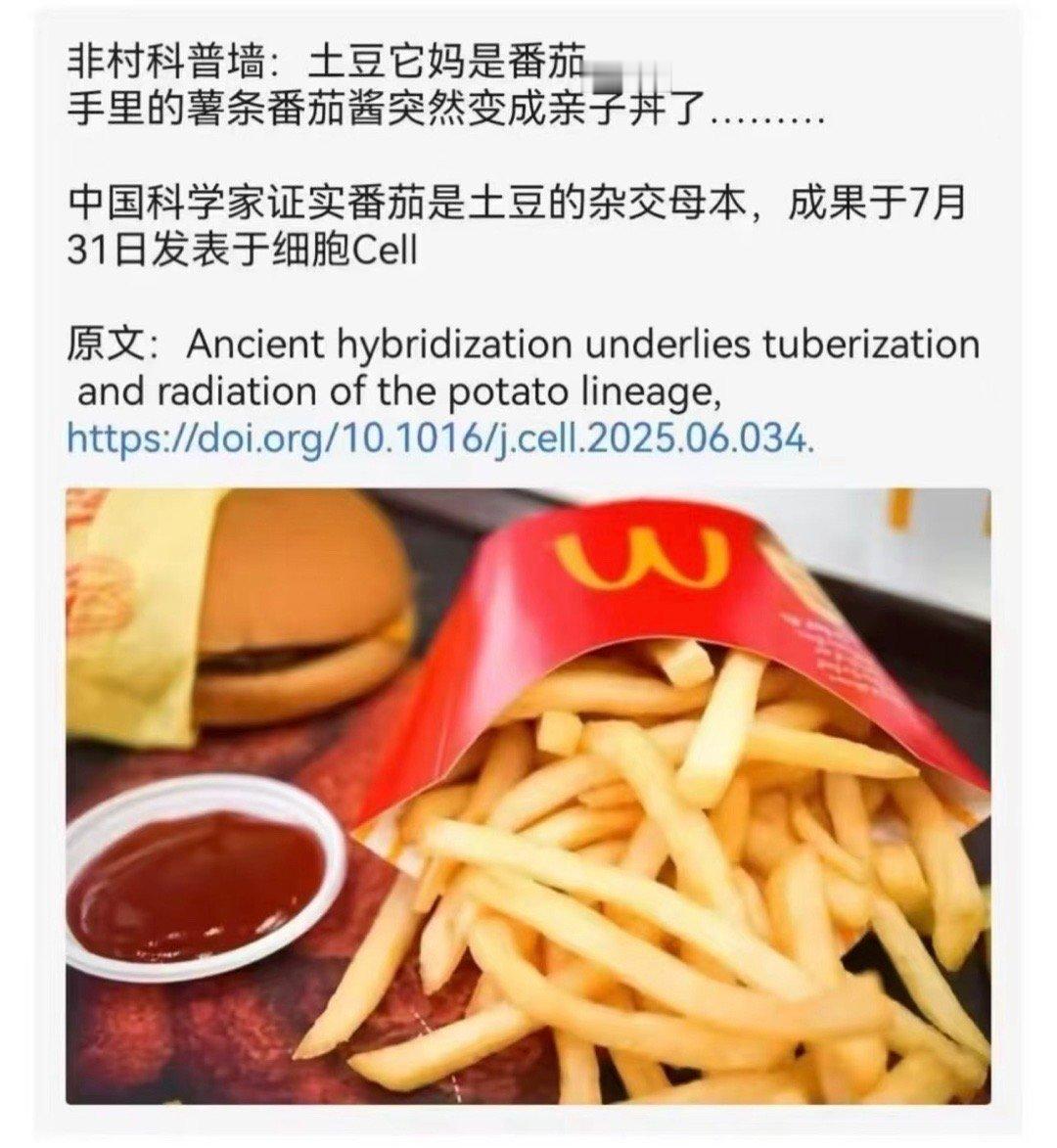 你是说薯条蘸番茄酱变亲子丼了是吗 ​​​