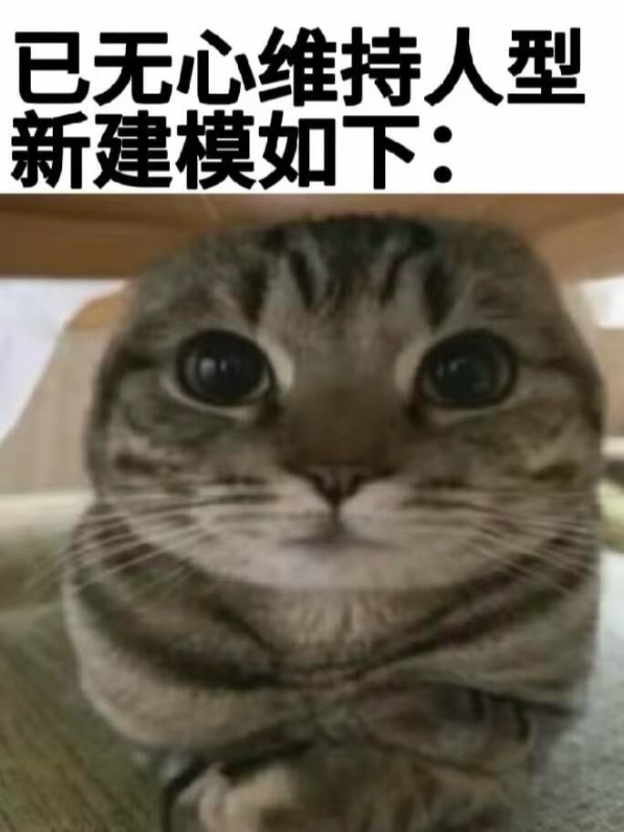 哎今天一条rs都没有蹭上