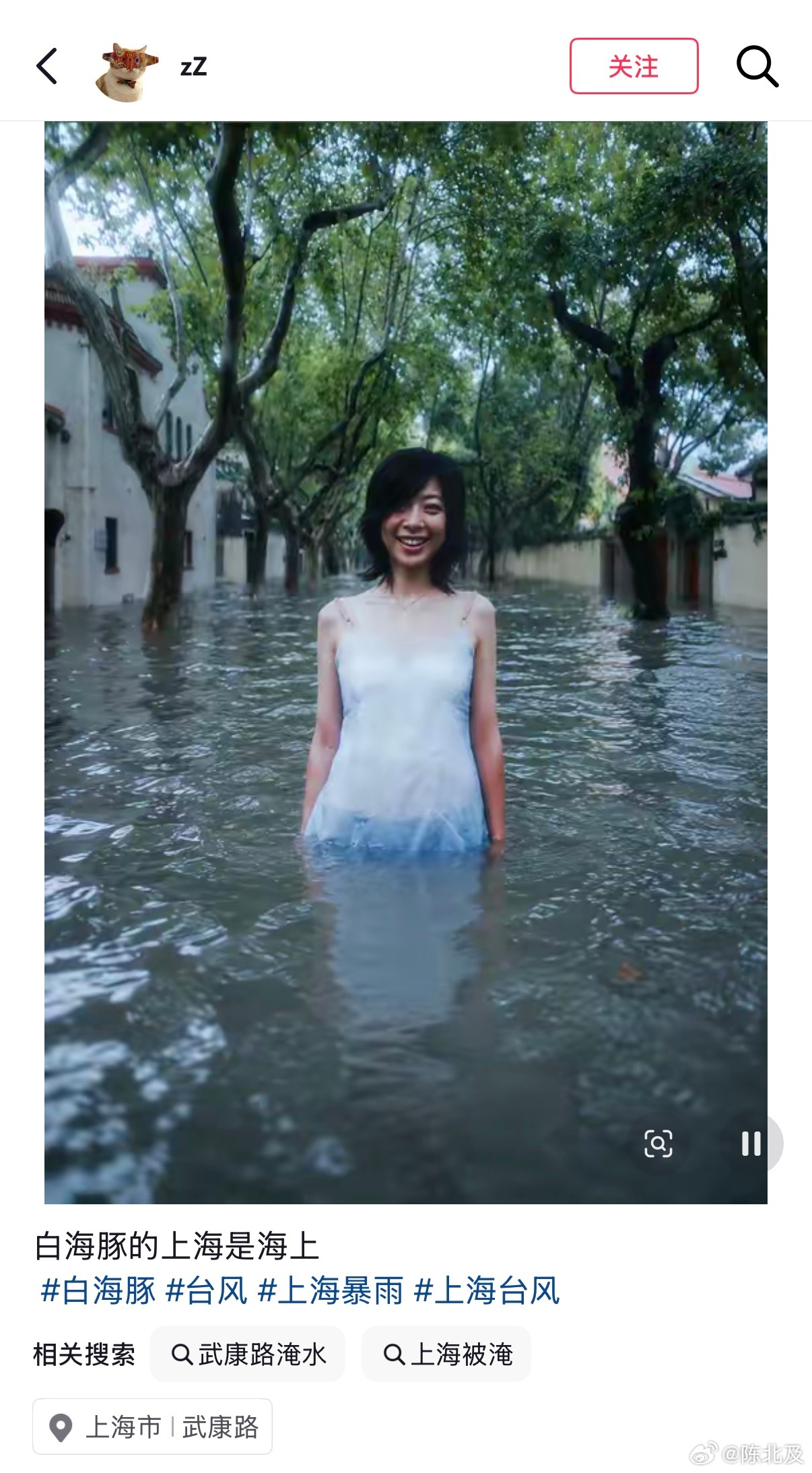 总以为谜一般难懂的我🌊陈绮贞白海豚