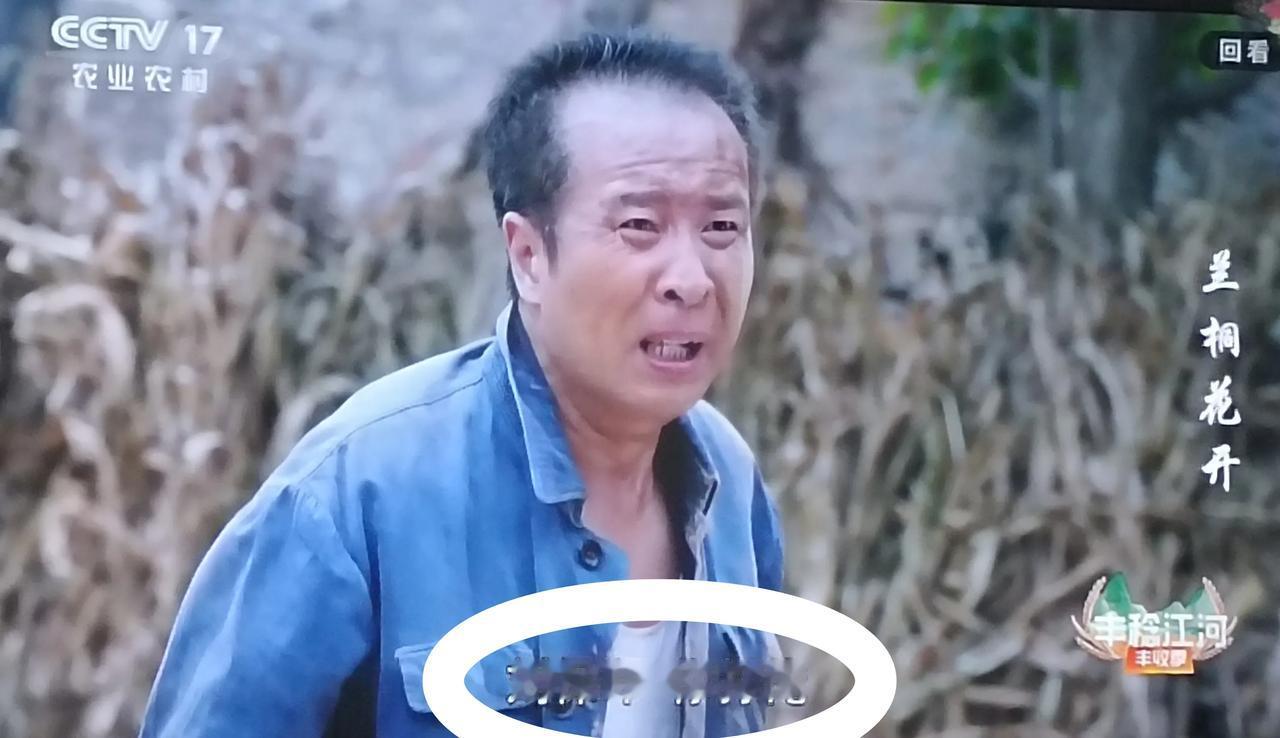 《蘭桐花開》:哈哈哈，哈哈哈哈哈！