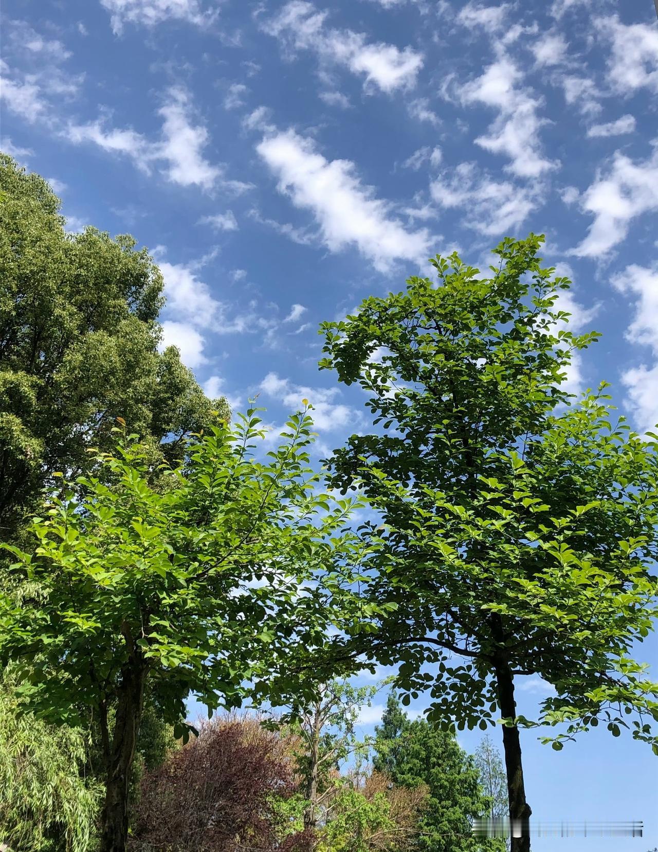 有一件事始终萦绕心头，难以释怀，一晃快两年了。
 
那年秋天，久未联络的好友忽然
