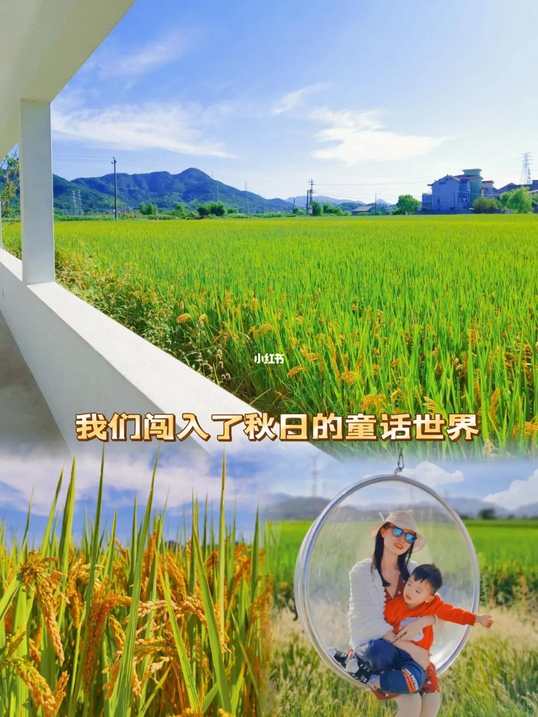 没去良渚，我们在这闯入了秋天的童话世界