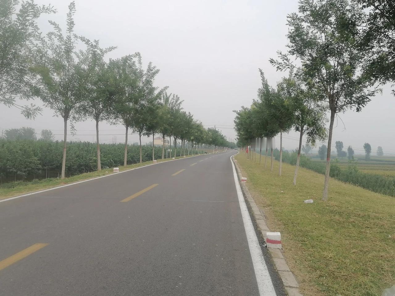 金秋十月前的九月叫啥月了，再有几天就十月了，中原大地秋收已近尾声，硕果累累。