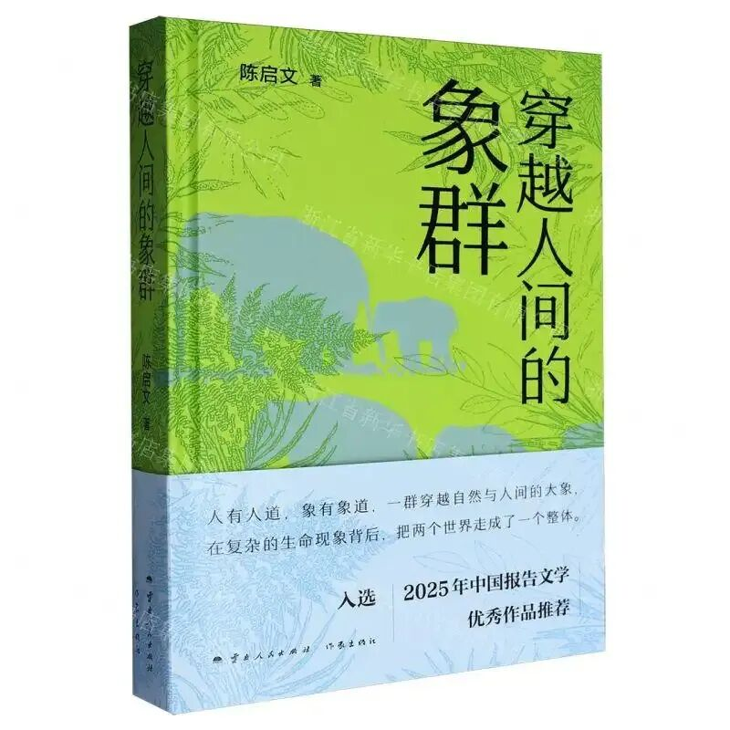 东莞作家陈启文喜提鲁迅文学奖！“中国作家第一村”再添殊荣