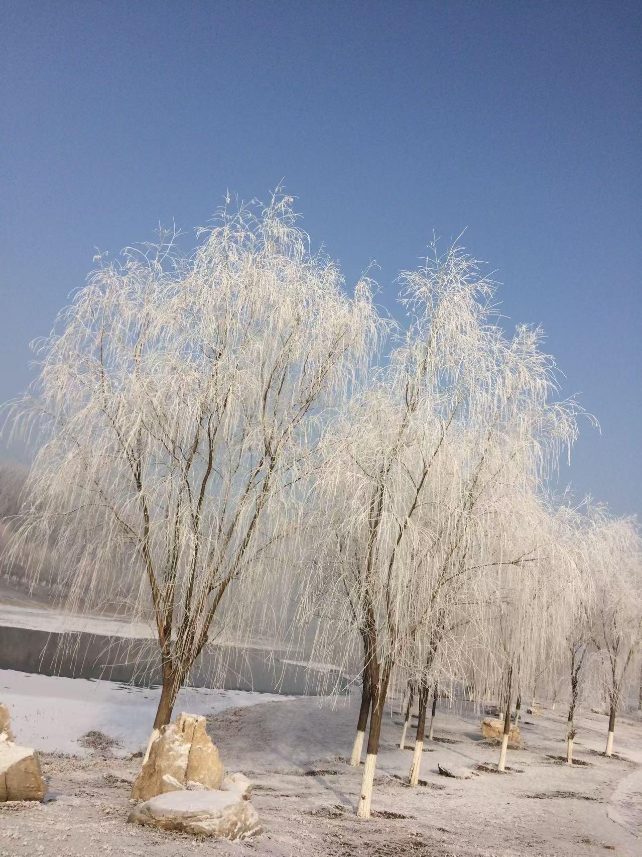 分享雪花飘飘美景