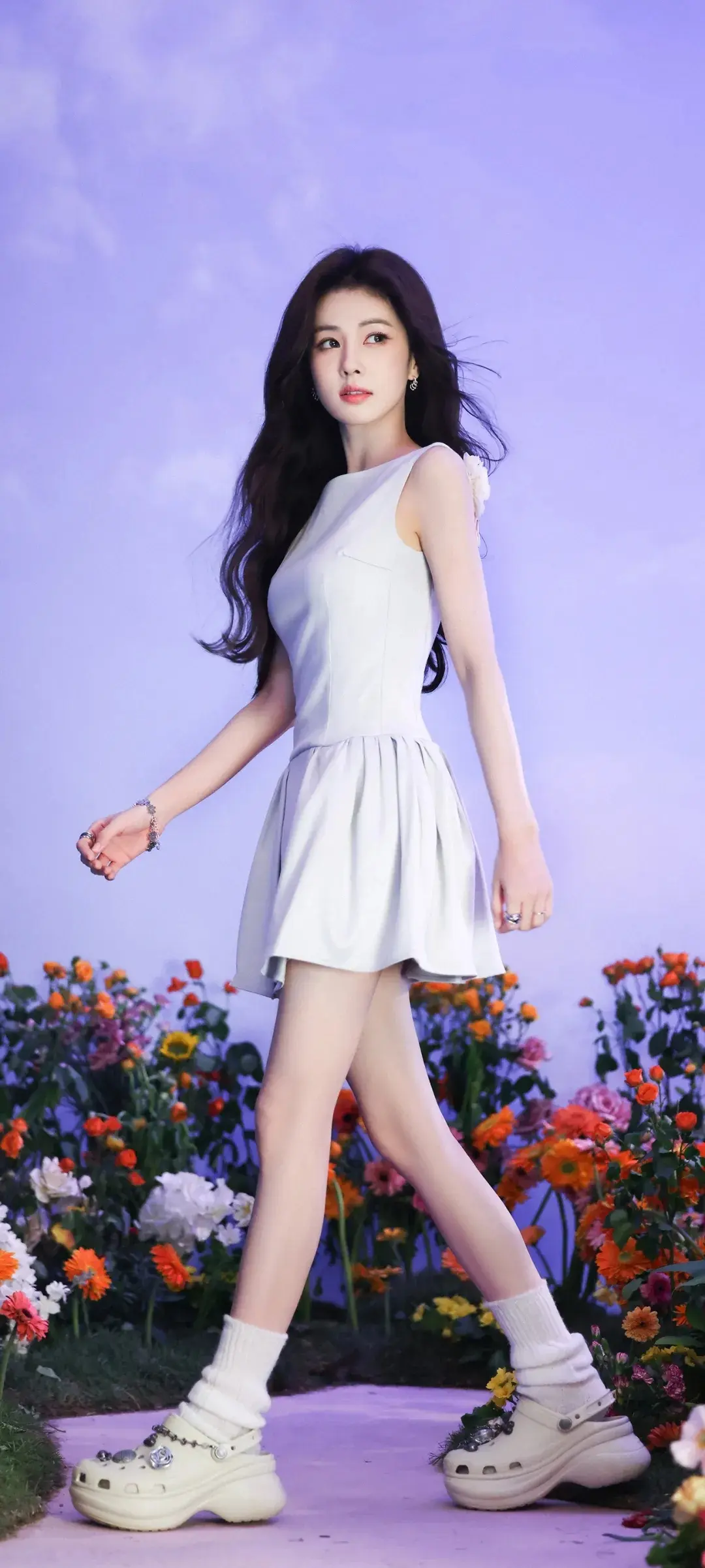 白鹿