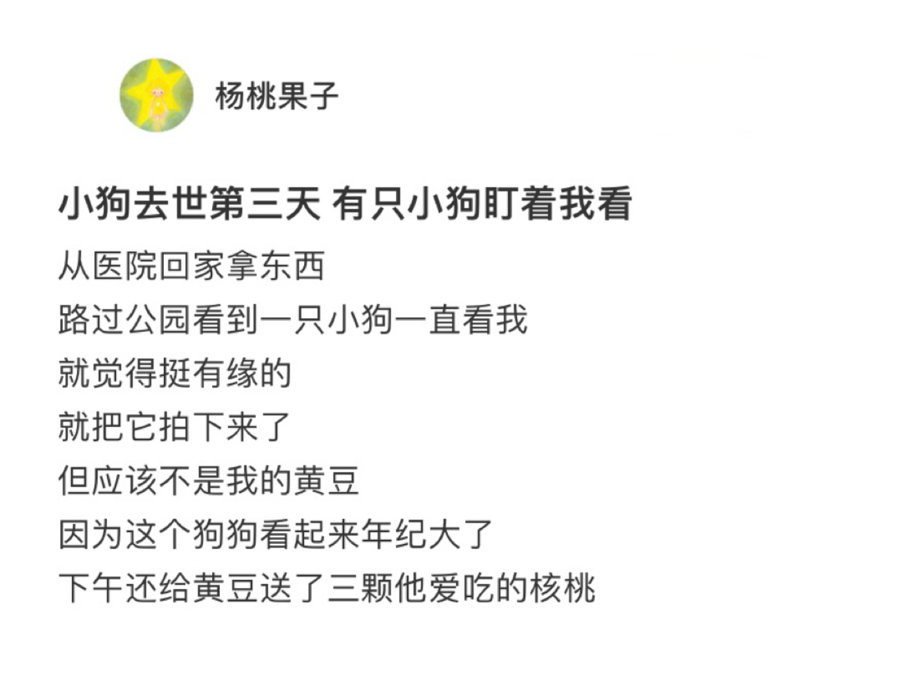 小狗去世后路边的狗一直盯着我看它应该是看到跟在妈妈身边的小狗鬼了吧[苦涩] ​​