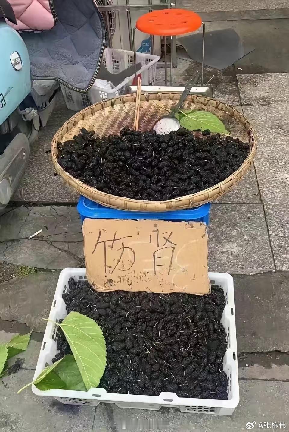 新农人不仅要学农，也得学文化 