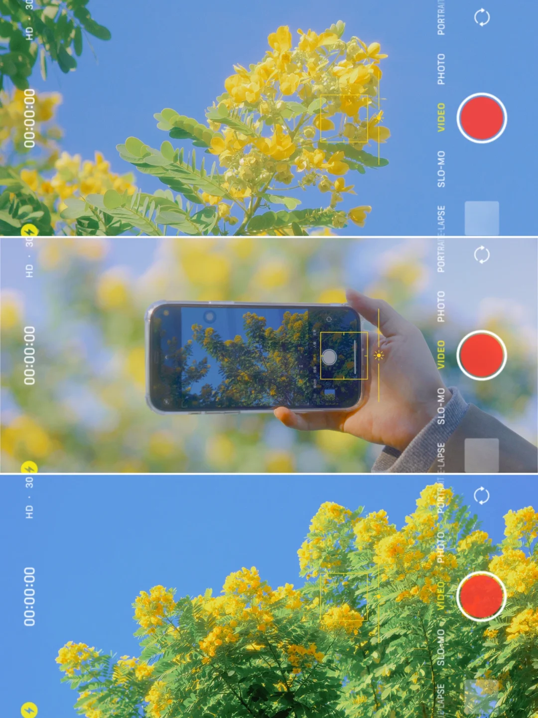 手机调色✨日系清新氛围感滤镜🌷拯救废片❗