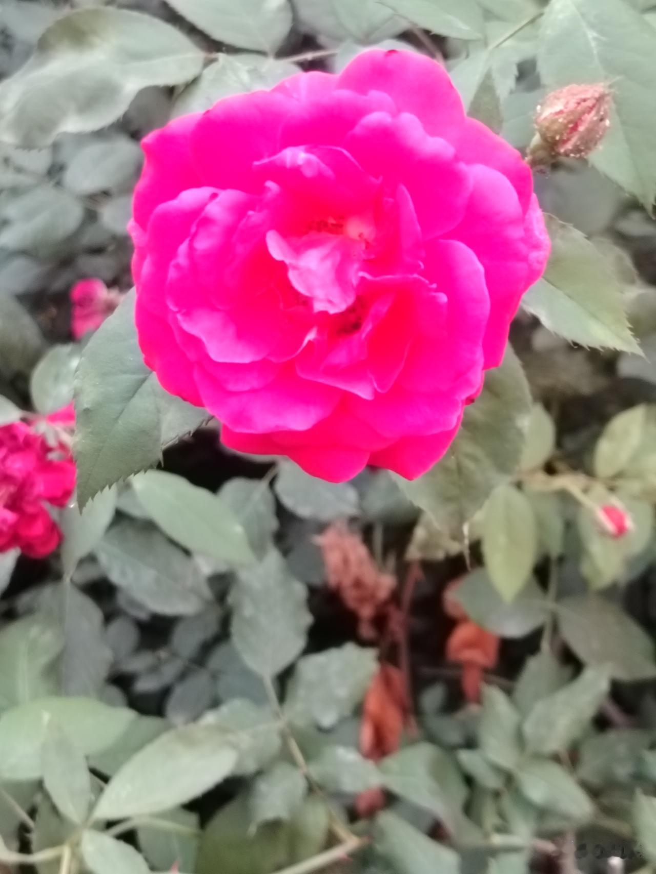 好心情来自好心态,你赞同吗?
 生活最真实的真相：人生境遇好坏，从来不由外界决定