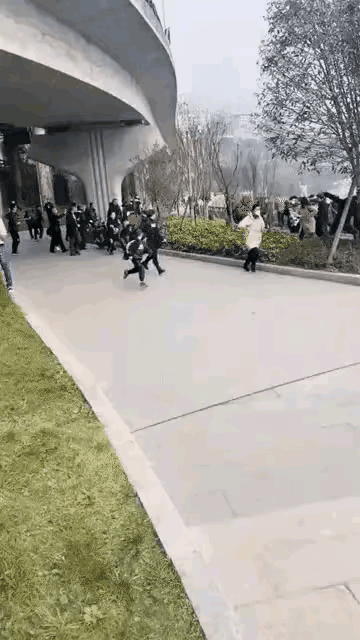 一头野猪惊扰了一群人，还是一群人吓到了一头野猪？