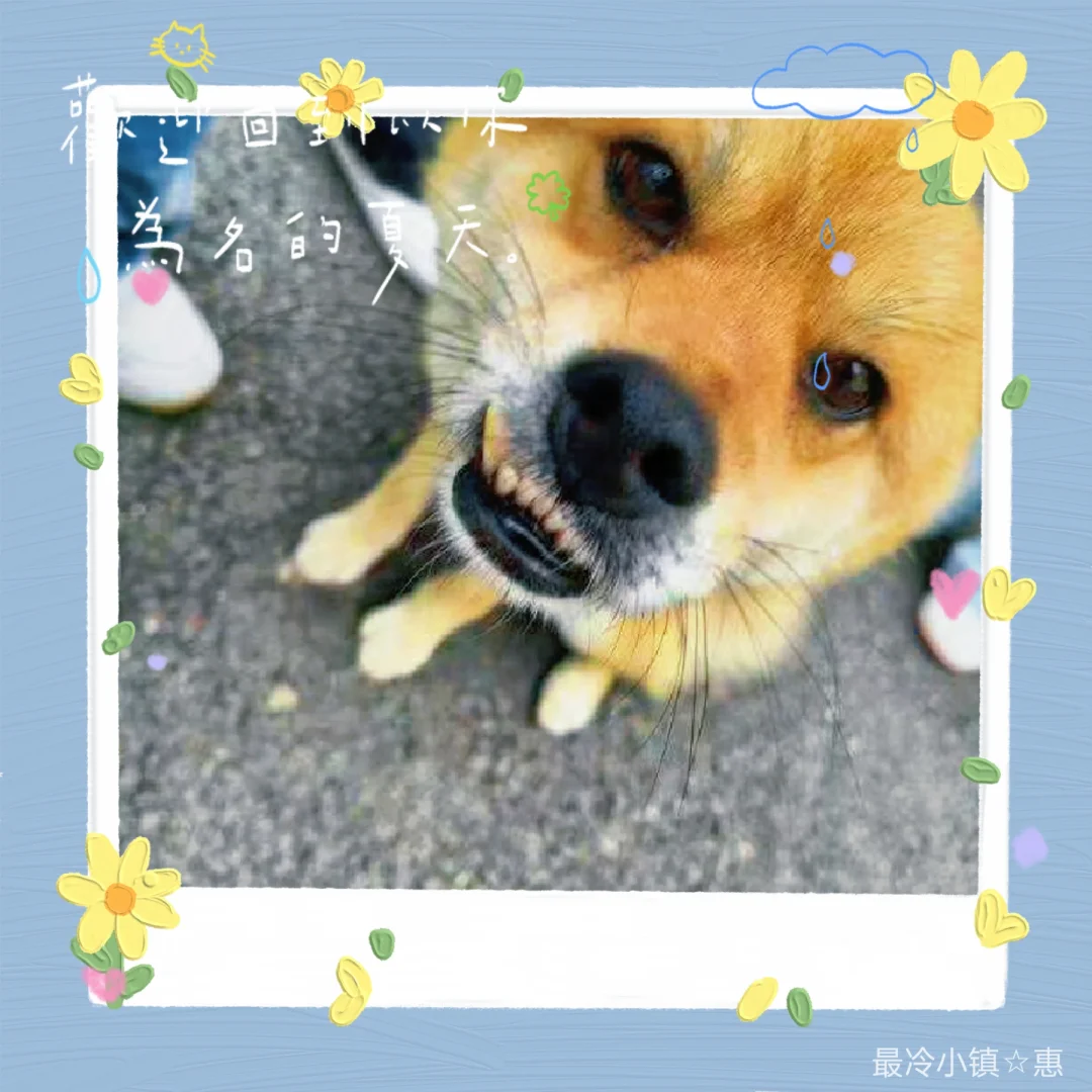 它的生命，终结了！！