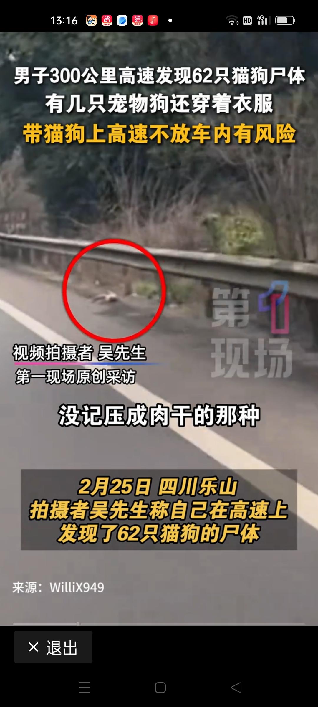 男子300公里高速发现62只猫狗尸体，这一触目惊心的画面，让人心头一紧，也让无数