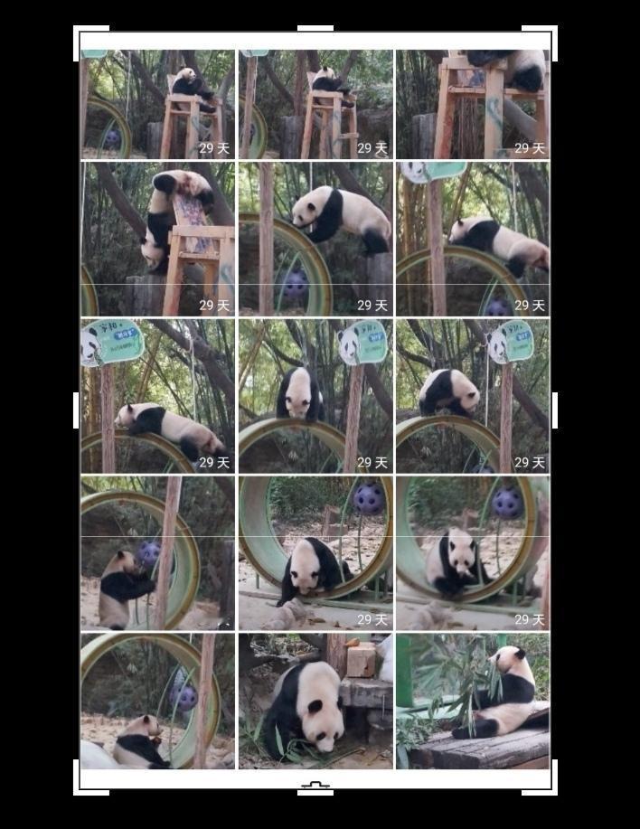 关于家和，我有几个未解之谜，刚来的时候是家和守护熊猫餐厅的吧？外场原本是国庆的吧
