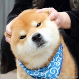 傅彧热聚科技
