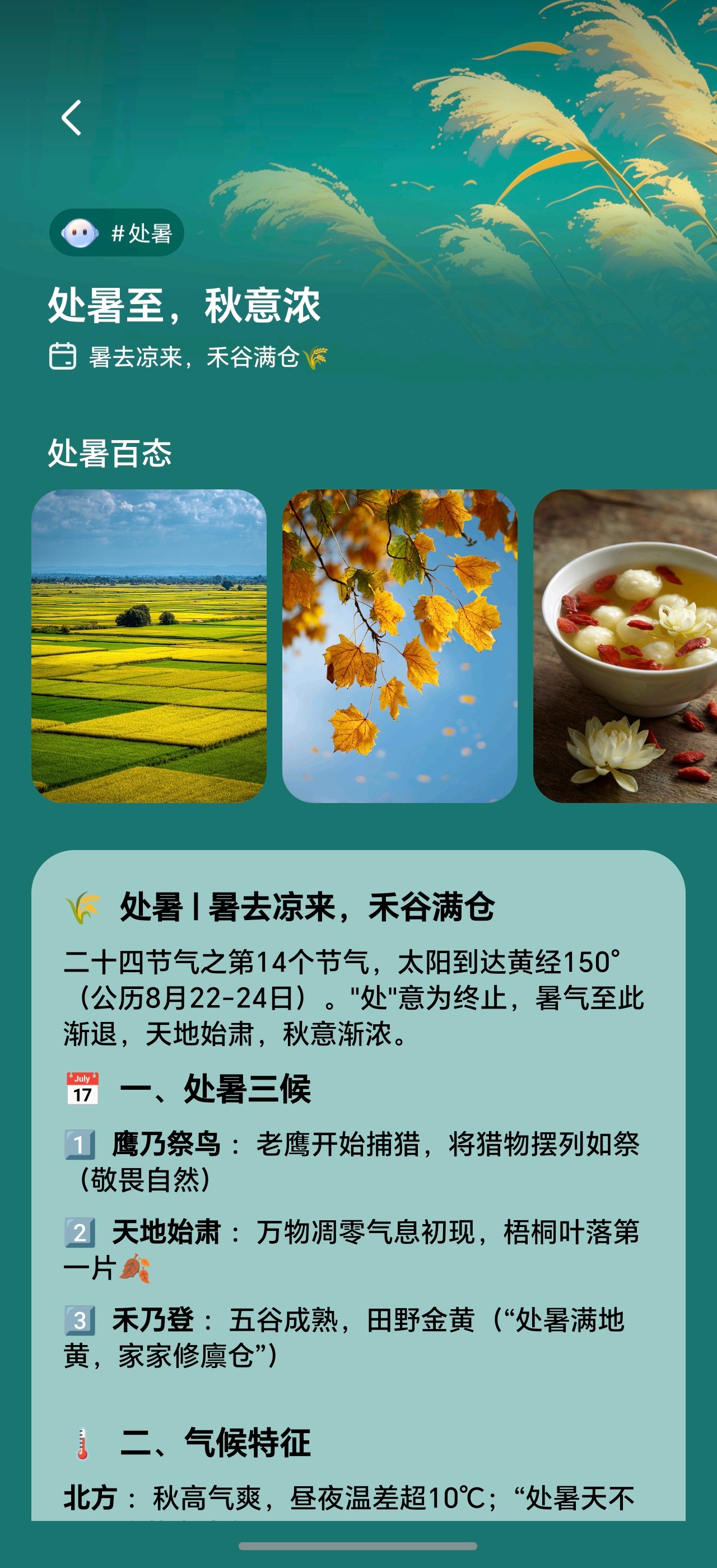 文化中国行处暑节气早上好呀老铁们，今天是二十四节气的处暑 节气，大早上出门已经有