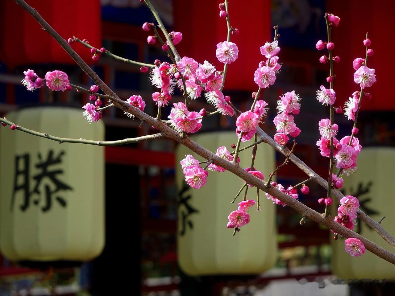 《人活着的意义：人如一滴雨》
我相信，每一个人就是一滴雨，
不可预知的、毫无选择