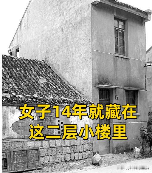 1993年，男子因药物导致房事无力，妻子离家出走。他苦寻妻子14年，发现其藏在3