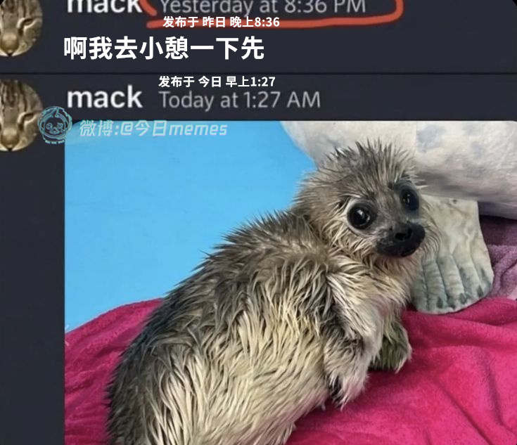 完蛋了（9gag）今日meme今日memes