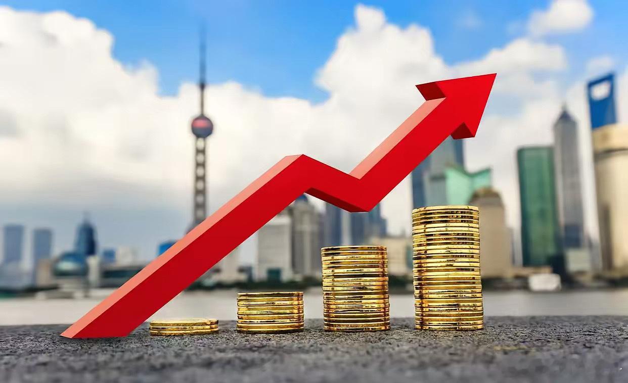 今天，2025年1月30，大年初二，把家里所买的投资类的书籍又粗略地翻过了一遍，