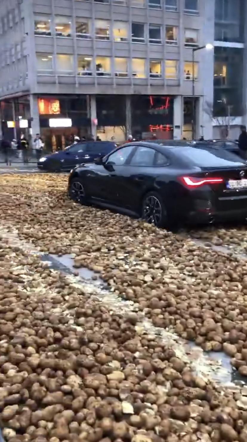 欧盟总部布鲁塞尔被农民倾倒在大马路上的土豆！

真别说土豆长得还挺好的，布鲁塞尔