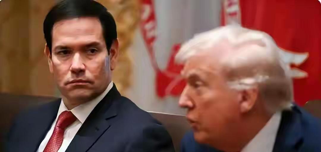 特朗普逼乌克兰割地？美在乌东要办“经济特区”，泽连斯基愿意吗