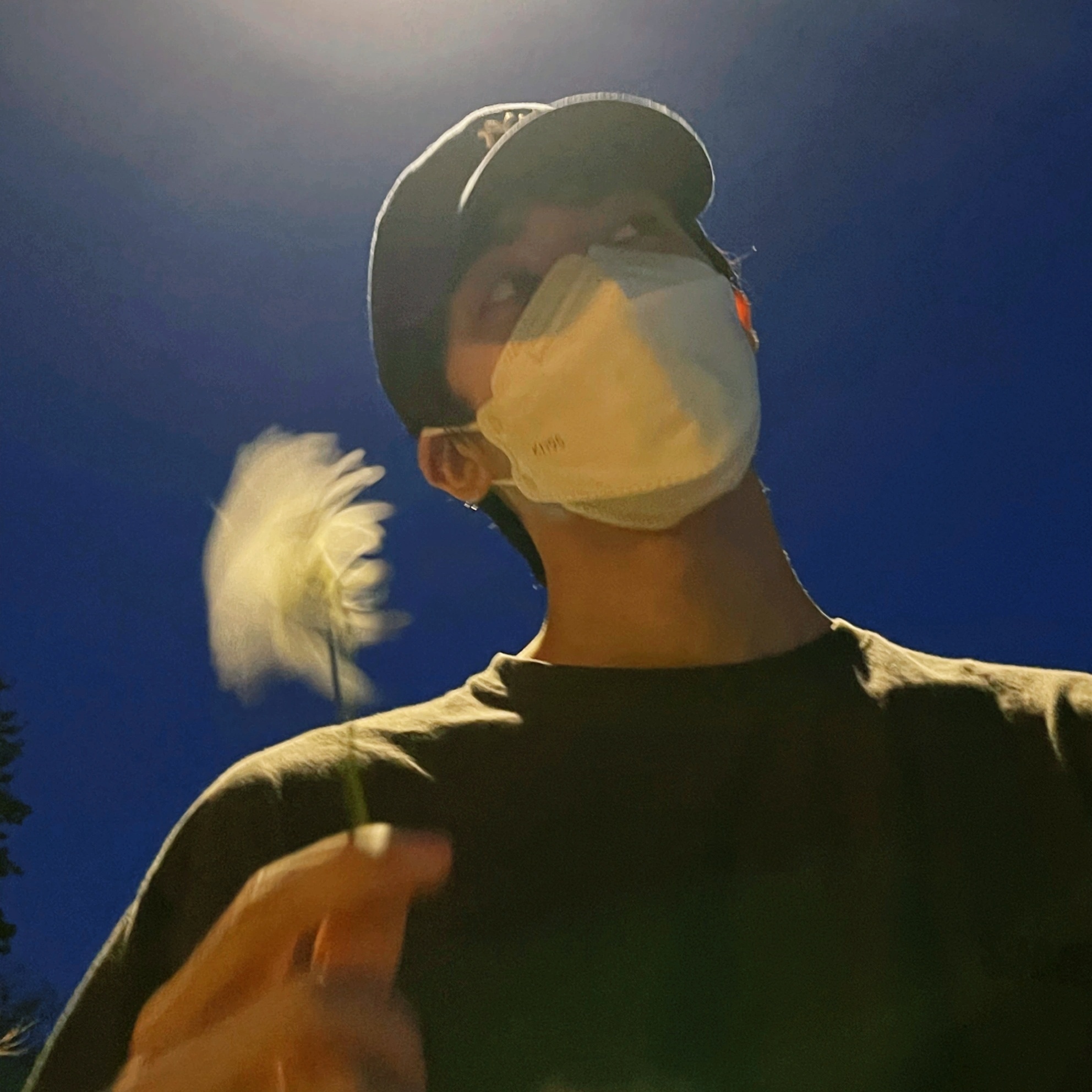 夏威仪不明显情头➕1 ​​​
