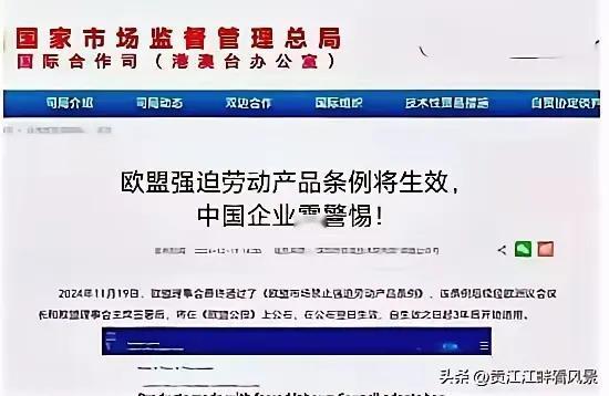 我有点搞不明白，主管部门在提醒啥呢。在国内可以这么玩，国外可不惯着你了？是这个意
